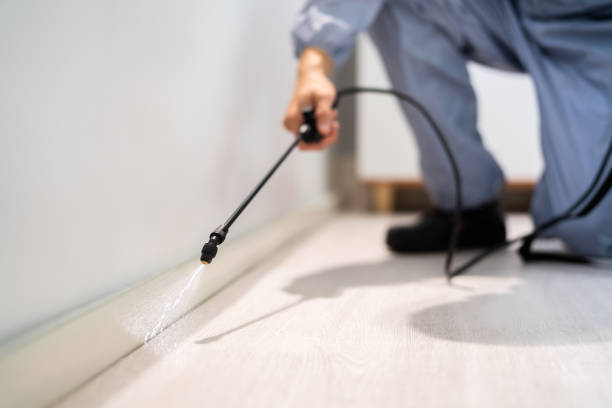 Rodent Entry Point Assessment in Pittsfield