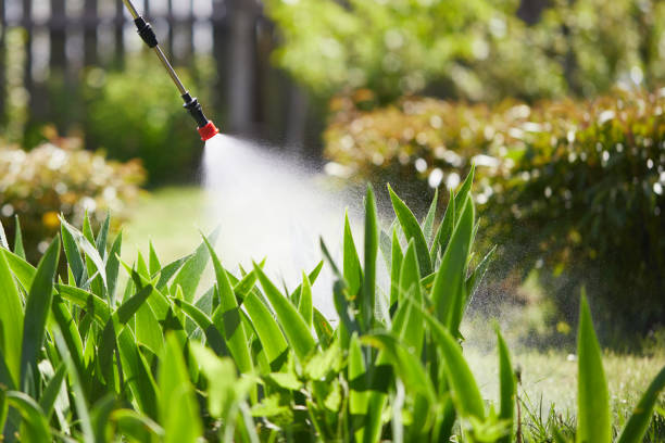 Tamper-Resistant Bait Stations for Rodents in Pittsfield
