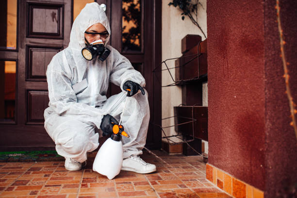 Attic and Crawl Space Rodent Treatment in Pittsfield