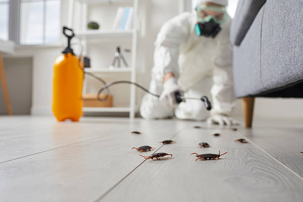 Commercial Rodent Management in Pittsfield